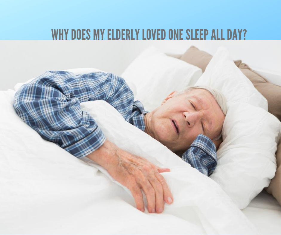 Why Does My Elderly Loved One Sleep All Day?